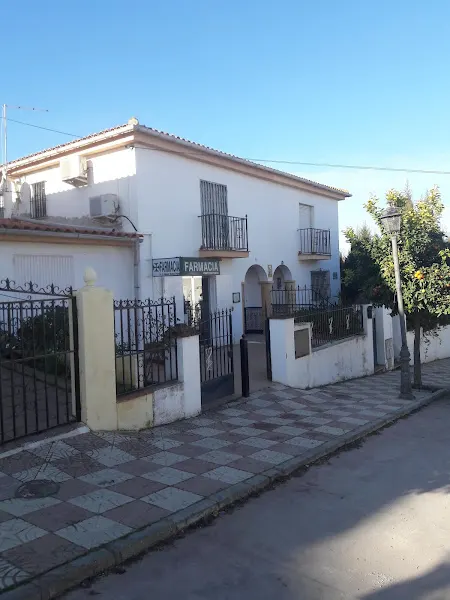 Farmacia Laura Sánchez Alonso - Chimeneas