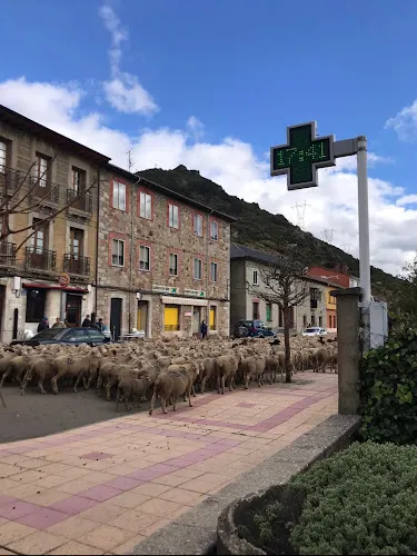 Farmacia - León