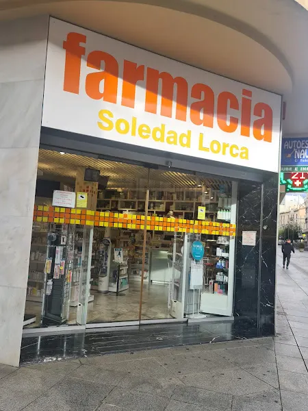 M Soledad Lorca Mico
