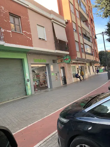 María Elvira Benedito Fortea - Alcudia