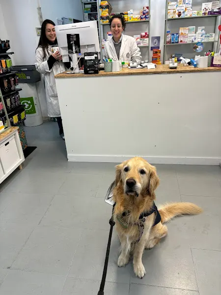 Farmacia Camacho Reina