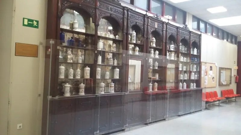 Facultad de Farmacia . Universidad de Sevilla - Universidad pública en Sevilla - foto 2