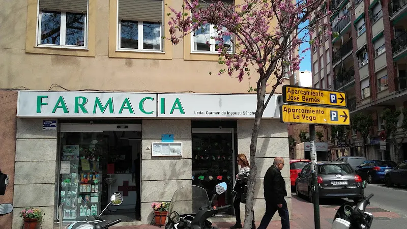 Insausti Sánchez María Del Carmen