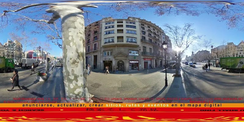 Farmacia Massot Moner - Barcelona